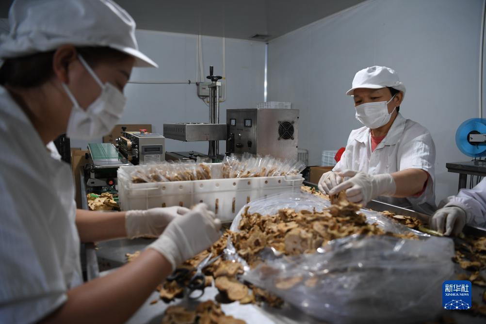新游游戏厅